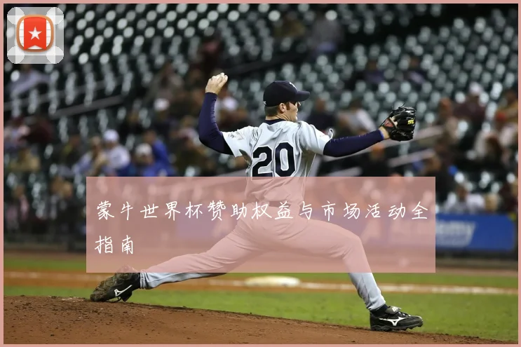 蒙牛世界杯赞助权益与市场活动全指南