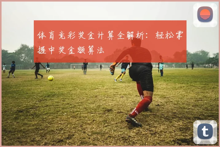 体育竞彩奖金计算全解析：轻松掌握中奖金额算法
