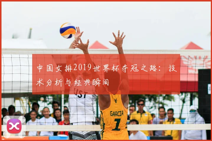 中国女排2019世界杯夺冠之路：技术分析与经典瞬间