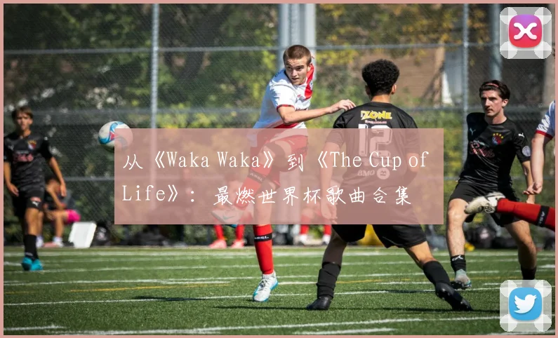 从《Waka Waka》到《The Cup of Life》：最燃世界杯歌曲合集