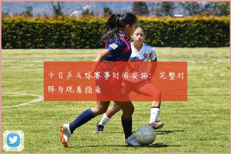 今日乒乓球赛事时间安排：完整对阵与观看指南