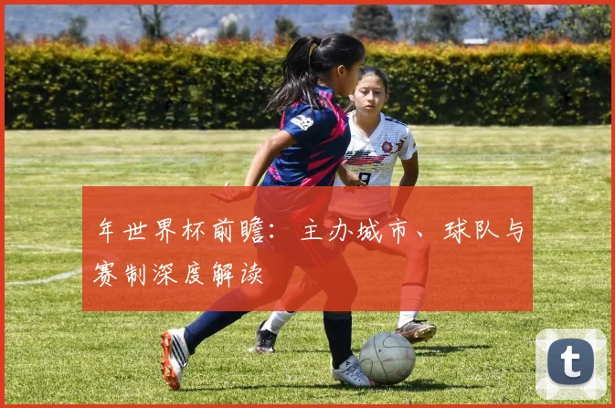 年世界杯前瞻：主办城市、球队与赛制深度解读