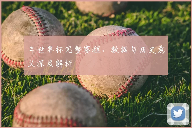 年世界杯完整赛程、数据与历史意义深度解析