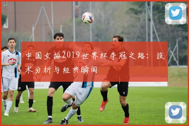 中国女排2019世界杯夺冠之路：技术分析与经典瞬间